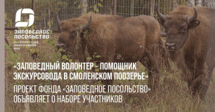 «заповедный волонтер – помощник экскурсовода в Смоленском Поозерье»: проект фонда «Заповедное посольство» объявляет о наборе участников - фото - 1