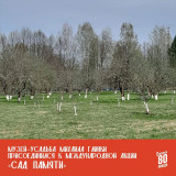 музей-усадьба Михаила Глинки присоединился к международной акции "Сад Памяти" - фото - 4