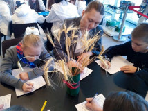 к Гагаринскому диктанту присоединились более 500 юных смолян из разных муниципальных округов - фото - 4