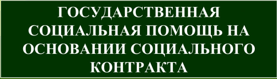 государственная социальная помощь - фото - 1